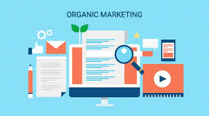 Webopedia is an online dictionary and internet search engine for information technology and computing definitions. Paid Vs Organic Search Results What S The Difference Goa Tech