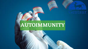 Image result for Autoimmunity
