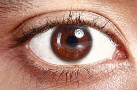 Attractions near jaffa gate, jerusalem. 12 Revolutionary Advances For Your Eye Health Israel21c