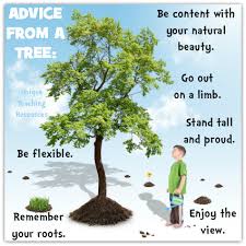 In much the same way, what goes on inside of us is like the roots of a tree. Quotes Advice From A Tree Printable Quotesgram