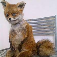 Stoned Fox Uporotaya Lisa Fox Memes Animal Memes Funny Animal Memes