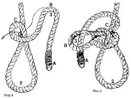 You will need 20 feet or 6 metres (for all sizes) of halter rope or double braided. How To Make A Rope Halter Osu Extension Catalog Oregon State University