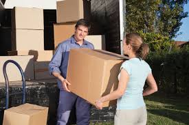 What Is a Moving Essentials Box? - Master Movers