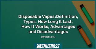 Disposable Vapes: Definition, Types, How Long It Last, How It Works,  Advantages and Disadvantages - Snusboss