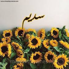 بالصور اسم سديم مزخرف معنى صفات دلع وشعر وغلاف ورمزيات 2021 Photos And Meaning صقور الإبدآع