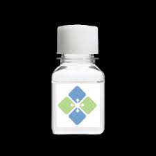 Image result for Centema