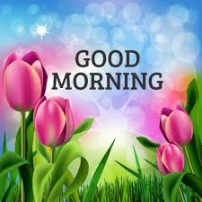 Скачать стоковые фото good morning. Good Morning Images App Good Morning Messages Apps On Google Play