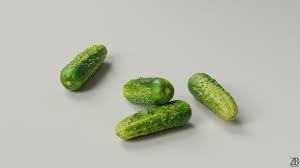 Cucumber 001 Cucumber Cucumber Photorealistic Rendering Preparation