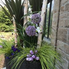Many native species provide welcome habitat for local wildlife. Bring Your Birch Into The Spring And Summer Spring Planter Summer Planter Porch Flowers