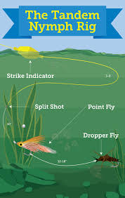 The entire setup is really simple and all you're going to need is the right fishing line, a barrel swivel, a bullet weight, a circle hook, and the right powerbait. Best Setup For Trout Fishing Off 63 Medpharmres Com