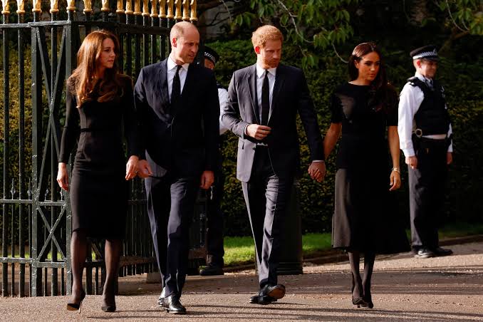 Prince William 'warned' Harry about Meghan Markle after Kate Middleton  entered 'goldfish bowl' of Royal Family: Expert | Today News