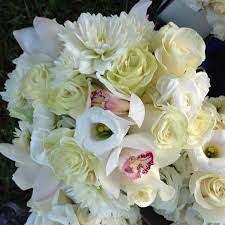 The talented ladies of city bake shop designed a cookie to match our fun melamine cherry plates! Premier Floral Design And Gift Emporium Traverse City Mi 49684