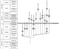 The Ordovician Enigma Chapter 3 Evolution And Development Of Fishes