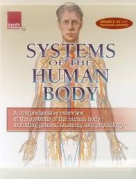 human body systems flip chart scientific publishing