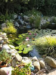 Après avoir choisi les plantes qui l'agrémenteront, voici venu le temps de trouver les poissons qui y nageront. Le Jardin En Mode Poissons Et Bassins Naturels Blog Ma Maison Mon Jardin