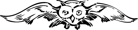 Art Monochrome Photography Carnivoran Png Clipart Royalty Free Svg Png