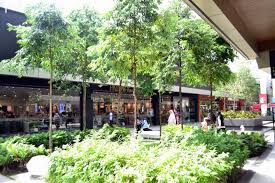 Coach an american brand specializing in design village. 2019 Visiting And Shopping Design Village Premium Outlet Mall Bandar Cassia Batu Kawan Rebecca Saw