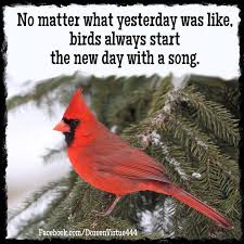 Birds Chirping In The Morning Spiritual Meaning Morning Newday Quoted Bird Quotes Cardinal Birds Love Birds Quotes