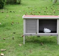 Simple Design OEM Color 1 Layer Online Sale Garden Outdoor Use Wooden  Rabbit Hutch
