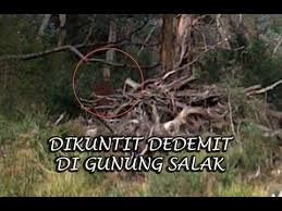 Kisah Misteri Gunung Salak Gadis Cantik Yang Dikuntit Demit Gunung Salak Hiii Sereeem Horor Gadis Cantik Kecantikan
