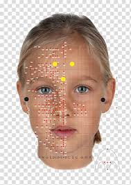 Facial Reflexology Transparent Background Png Cliparts Free