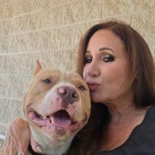 Ciao! Cerco altri addestratori di cani che parlino italiano. Se sei tu,  mandami un messaggio questo! Now go make a dog smile today! Baci a tutti.  xo❤️