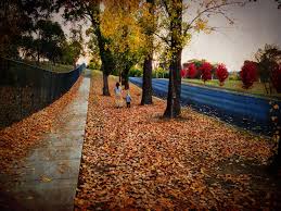 It is approximately halfway between sydney and brisbane at the junction of the new england highway and waterfall way. Fall In Armidale Nsw Australia The The Beautiful City We Stayed At With Wonderful Friends Bev And Ian Australia Travel Places To See Favorite Places