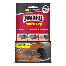 Amdro Mouse Trap 100534972 The Home Depot Mouse Traps Rat Traps Mouse Traps That Work