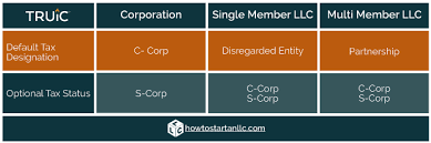 what is an s corporation