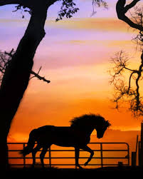 Check spelling or type a new query. Horse Silhouette Sunset Animals Paint By Numbers Canvas Paint By Numbers