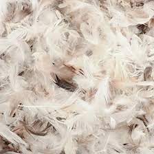 Although it sounds like it would be wonderfully soft, the reality is. Duck Feather Filling The Cushion Warehouse
