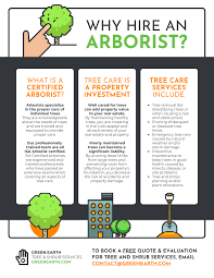 Greener earth tree service is a provides professional tree services in sherman, tx. Tree Services Marketing Business Flyer Template
