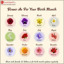 Birth Month Flower In 2021 February Birth Flowers Birth Month Flower Horoscope Flowers