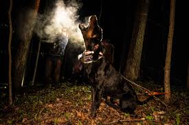 Shop for table and chair sets at dinette depot. Fqqoisoou5regm