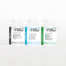 Image result for Bixa