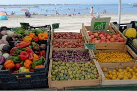 Le Marche A Port Camargue