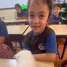 Grade Two “B”, Science , Beirut International school , 2023-2024