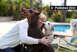 We did not find results for: All Dogs May Go To Heaven These Days Some Go To Hospice The New York Times