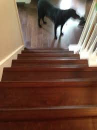 Wood stair treads stair nosing stair treads solid wood stairs folding wood wooden stair rail pvc stair nose trim wood stairs aluminum stair. Bull Nose Hardwood Pieces On Stairs Raised Or Flush