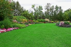 Simply click on the link to bring up the page. Lawn Care St Peters Mo Lawn Masters