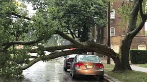Storm shield meteorologist jason meyers explains what makes a derecho and how often they occur. Powerful Derecho Storm Leaves Widespread Damage Across Midwest Marketwatch