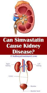 Pin On Kidney Disease Diet