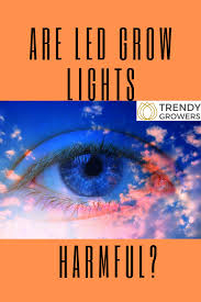 Are Led Grow Lights Bad For Your Eyes Led Grow Lights Led Grow Lights Diy Grow Lights