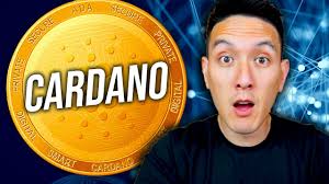 In this guide, you will learn everything you need to start trading cryptocurrencies. Top 5 Cryptocurrency To Invest In For 2021 Long Term Buys Youtube
