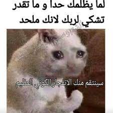 pin by س رم دي ة on arabic memes dora funny funny arabic quotes funny picture jokes