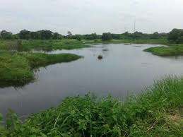 Mancing Liar Tangerang Posts Facebook