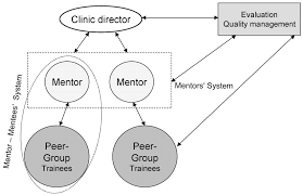 organizational structure of the mentoring program download