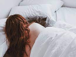 Keep a scratching post in your home. Cats Sleeping In Your Bed A Good Idea