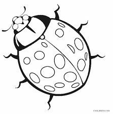 The coloring pages are printable and can be used in the classroom or at home. Bug And Insect Coloring Pages Gallery Whitesbelfast Com