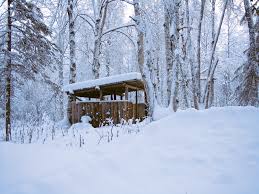 Get free alaska small now and use alaska small immediately to get % off or $ off or free shipping. Off Grid Cabin In Alaska